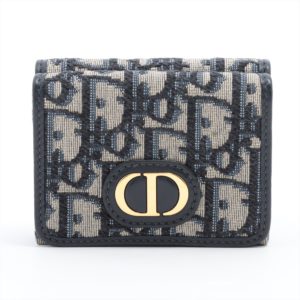 Dior trotter wallet